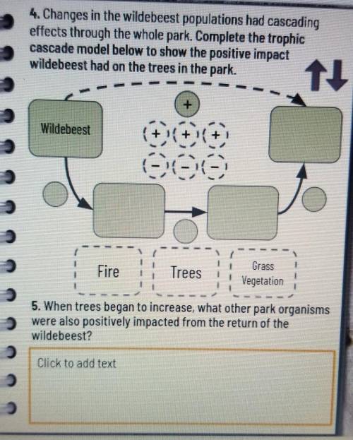 Complete the trophic cascade model below to show the positive impact wildebeest had on the trees in