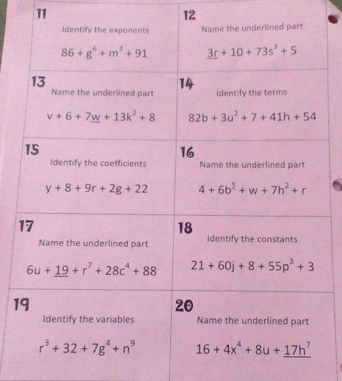 I need help with these questions from 11 to 20. I already did questions 1 through 10 with my math t