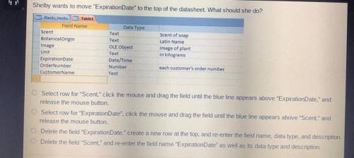 Shelby wants to move “ExpirationDate” to the top of the datasheet. What should she do?