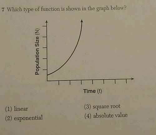 Which type of function is shown in the graph below?