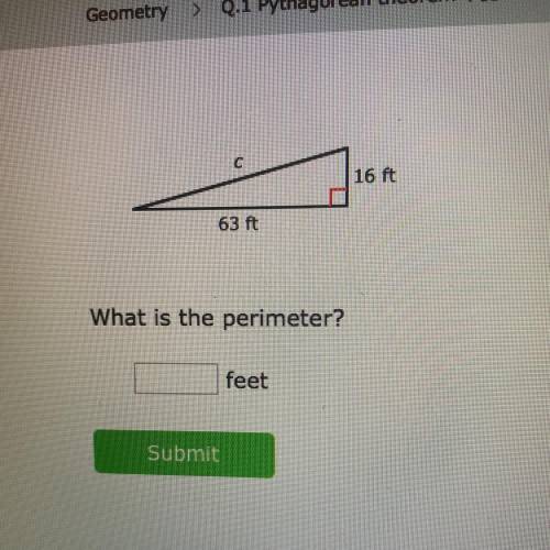 CAN SOMEBODY HELP ME PLS GIVE THE CORRECT ANSWER IM FAILING BUT ITs PYTHAGOREAN THEOREM