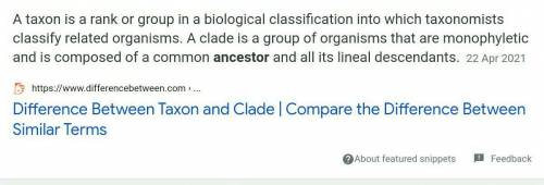 What is the main difference between a taxon and a clade?