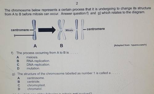 Answer f and g urgently it relates to the picture ​