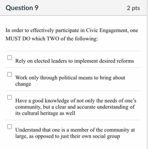 In order to effectively participate in Civic Engagement, one MUST DO which TWO of the following: