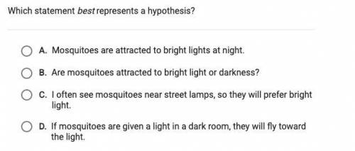WHICH STATEMENT BEST REPRESENTS A HYPOTHESIS