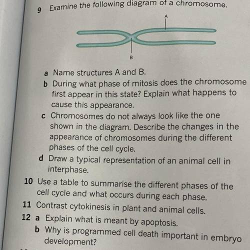 Hi! Can someone help me with these questions, thanks