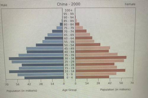 According to the population pyramid, in 2000 China had about 120 million people in which age-group?