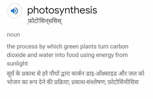 What is photosynthesis​