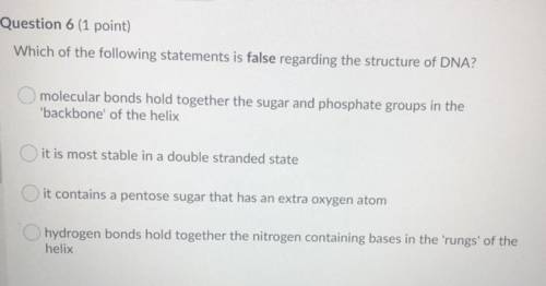 Which of the following statements is false regarding the structure of DNA?