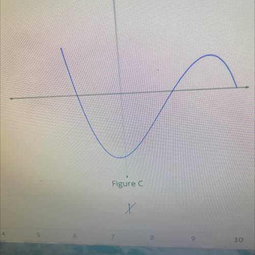Is this a function or no?