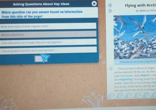 which questions can you answer based on information from this side of the page flying with the Arct