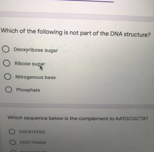 Which of the following is not part of the DNA structure?

Deoxyribose sugar
Ribose sugar
Nitrogeno