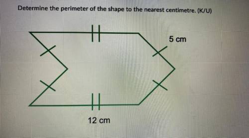 Determine the perimeter of the shape to the nearest centimeter. (Picture included)