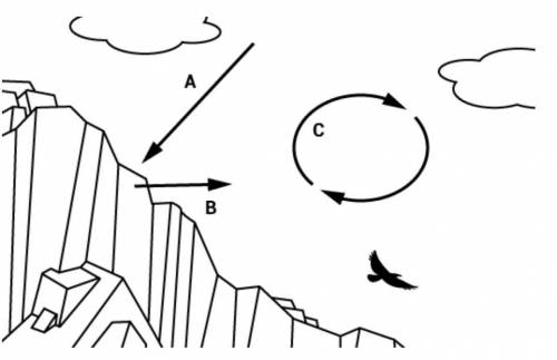 The image shows a vulture soaring over a rocky cliff. The arrows model the different ways energy mo