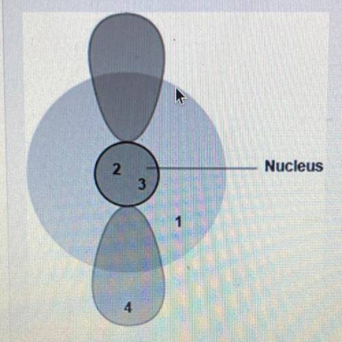 The diagram shows four different locations in an atom. Which locations are likely to have subatomic
