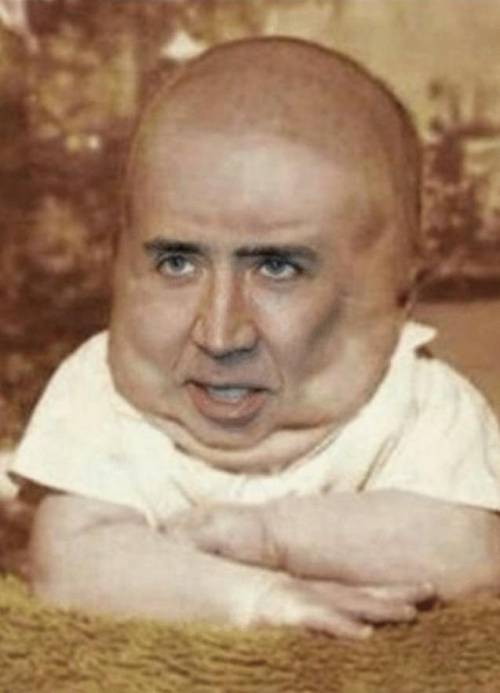 ok i found this pic online and i turned it into my pfp. its nicolas cage face photoshopped on a bab