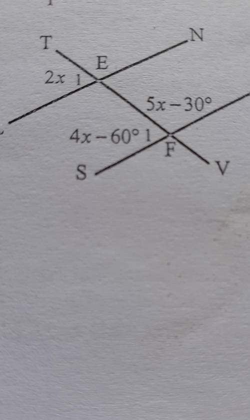 Can someone help??? I need to find the value of x