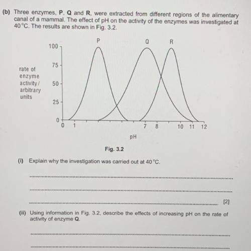 How to do this two question?