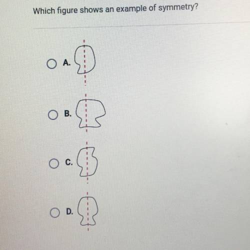 Which figure shows an example of symmetry?
A.
B.
C.
D.
