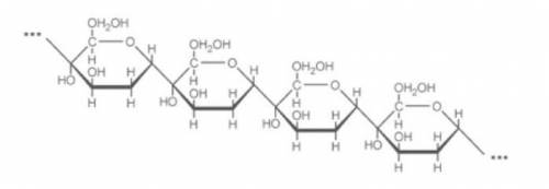 Amylose is a form of starch made up of α glucose monomers that are bound by 1– 4 linkages.

Descri
