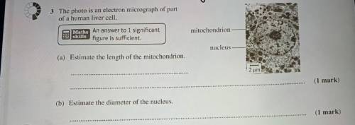 How do I work this question out I’m struggling