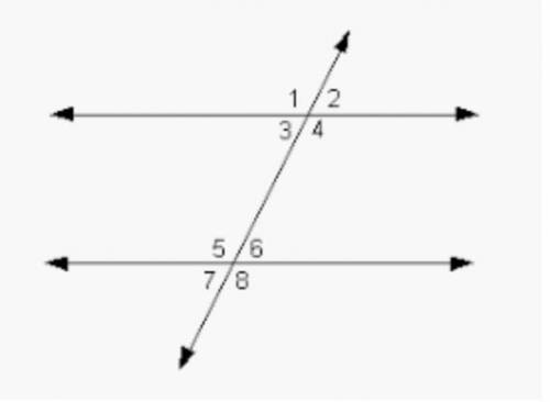 I'm stup!d guys pls help me ;-;

Which of the following angles DOES NOT have equal measure when a