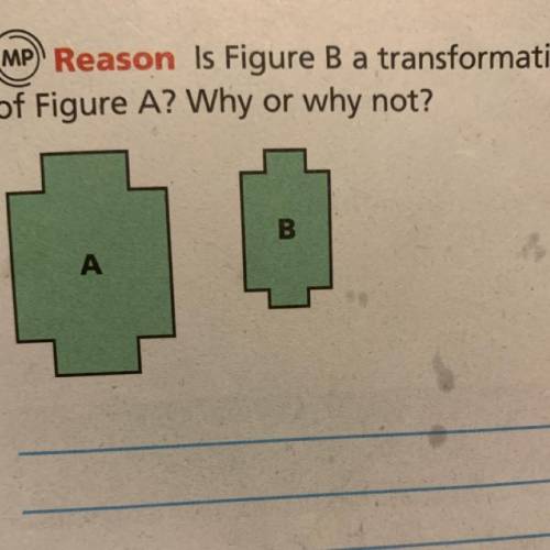 Reason Is Figure B a transformation
or why not?