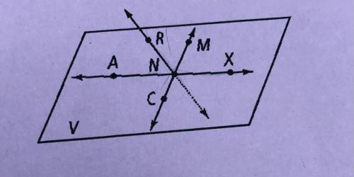 Name two rays shown in the figure