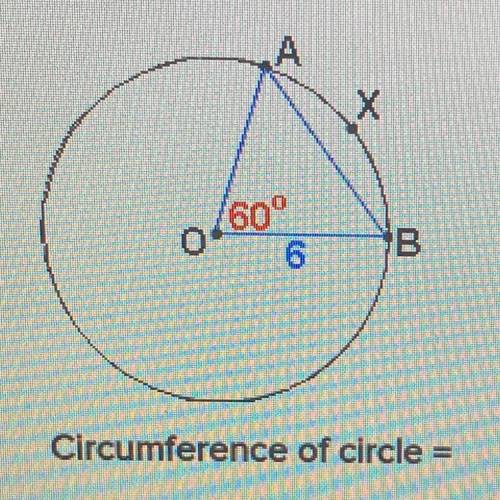 What is the circumference of this circle?