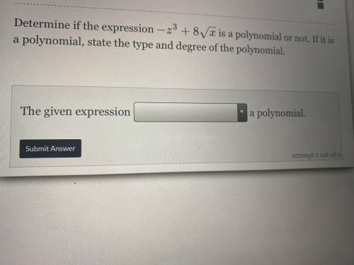 Does it represent a polynomial or not?