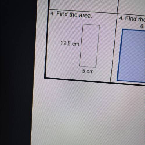 Find the area of 12.5 cm and 5 cm