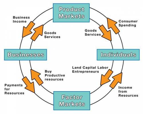 Using this diagram, what outcome can be predicted if individuals stopped purchasing goods? A) Busin