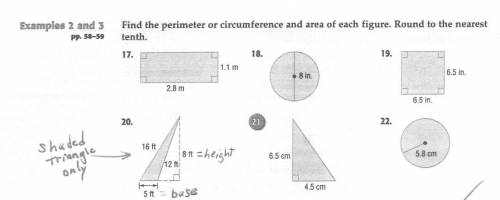 Find the circumfrence,area and perimeter. Round to the nearest tenth