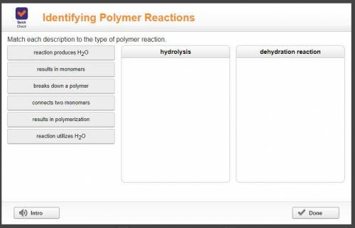 Match each description to the type of polymer reaction.