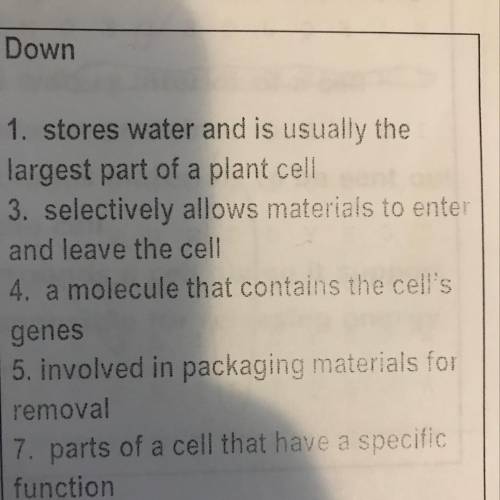 SOMEONE WHOS GOOD AT SCIENCE OLS ANSWER 1,3,4,5,7. Like what cell does what their. PLS HELP DONT GU