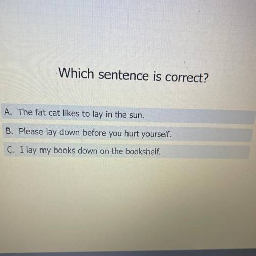 Which sentence is correct