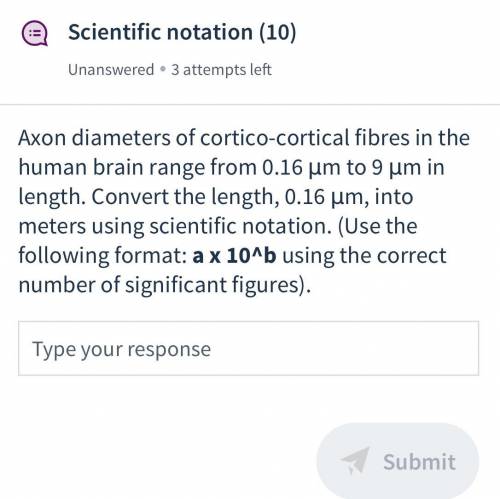 Axon diameters of cortico-cortical fibres in the human brain range from 0.16 μm to 9 μm in length.