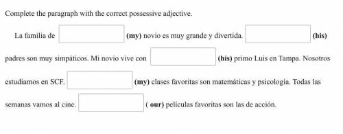 Use the correct possessive adjective for the sentences