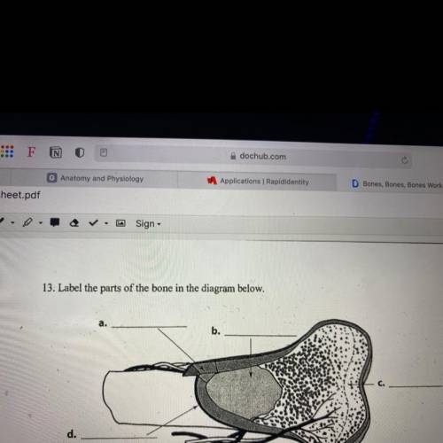 Label the parts of the bone in the diagram