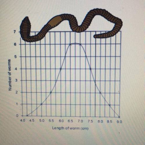 5. The line graph shows the number of worms collected and their lengths.

a) Identify the dependen