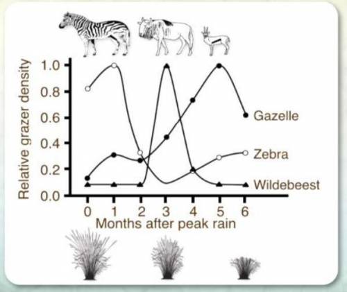 (Pls help) How do savanna animals share one resource, a grassland plant? Develop a claim, provide e