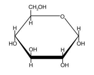 What molecule is this?
A) Protein
B) Lipid
C) Carbohydrate
D) Nucleic acid