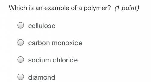 Which is an example of a polymer?