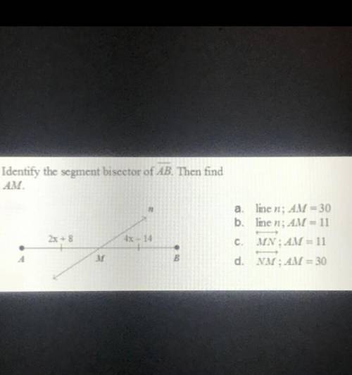 Identify the segment bisector if AB Then find AM (PLEASE HELP)