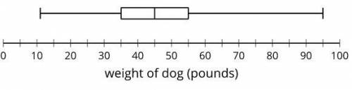 The box plot shows the statistics for the weight, in pounds, of some dogs.

PLEASE HELP, I WILL GI