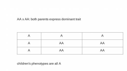 Submit your conclusions about the genotypes of the parents this trait, and an explanation of how yo