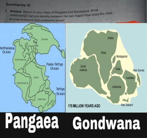 Return to your maps of Pangaea and Gondwana. What relationships can you identify between the two ma