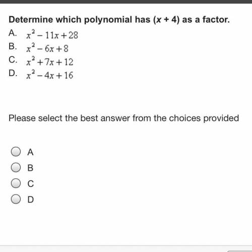 Determine which polynomial has (x + 4) as a factor.