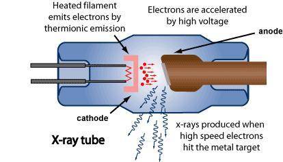 With the help of a labelled diagram explain how x rays are produced in an x ray tube​