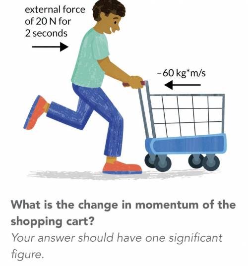A person applies a 20N force for 2 seconds to a shopping cart with an initial momentum of -60kg•m/s